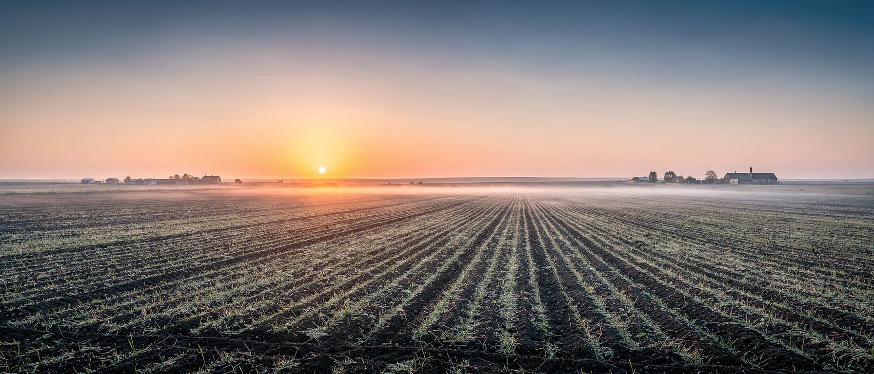 Dawn over a Russian agricultural plain, conveying the geographic scale of Terra-Zenith's service area